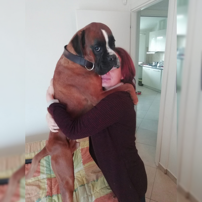cat sitter e dog sitter a torino, daniela larivei con cane boxer in camera da letto, orme differenti