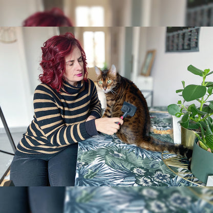 cat sitter a torino, daniela larivei con un gatto a casa mentre lo spazzola, orme differenti