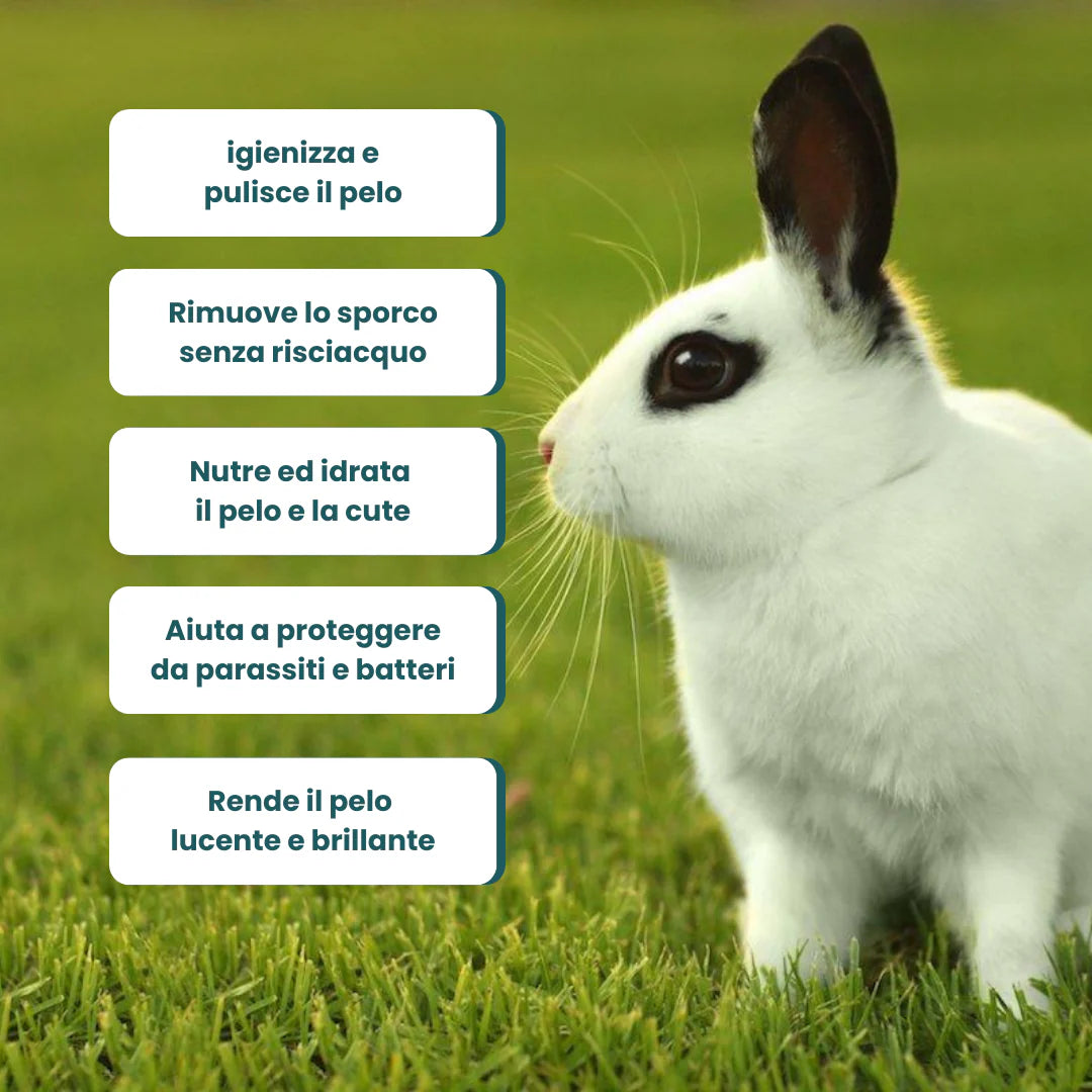 Shampoo a secco per conigli di Petzolla distribuito da Orme Differenti, igienizzante, senza risciacquo, nutriente, idrantante, protettivo