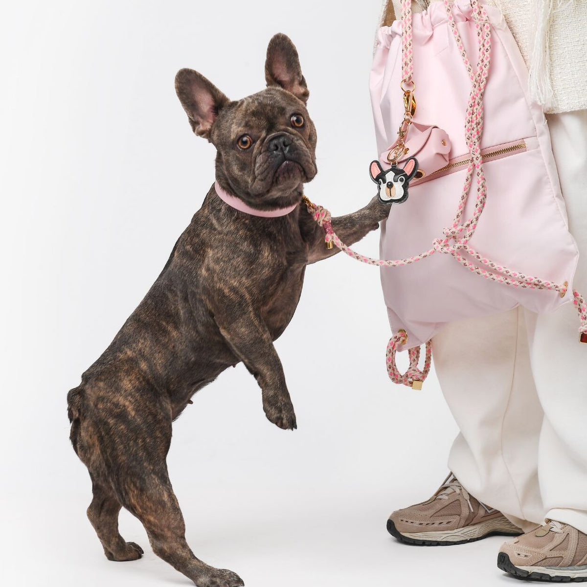 Zaino per cani ergonomico e capiente, rosa, traspirante, con tasche laterali e frontali, fotografato con cane bulldogue francese,  di One Dog distribuito da Orme Differenti
